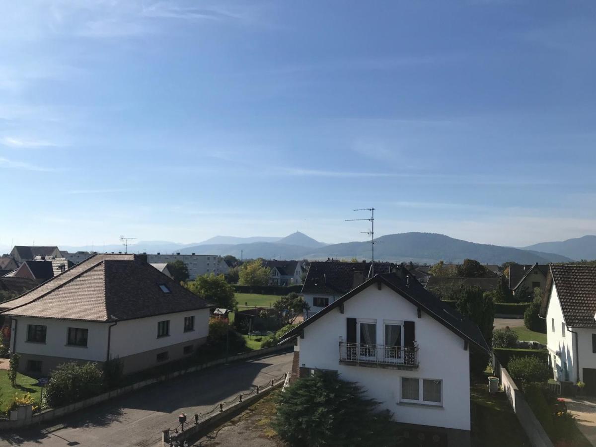 Appartement Chaleureux Et Lumineux Avec Vue ! Au Centre Alsace ซิลิสตาต์ ภายนอก รูปภาพ