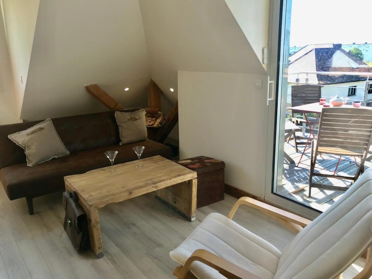 Appartement Chaleureux Et Lumineux Avec Vue ! Au Centre Alsace ซิลิสตาต์ ภายนอก รูปภาพ
