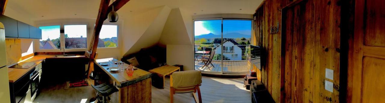 Appartement Chaleureux Et Lumineux Avec Vue ! Au Centre Alsace ซิลิสตาต์ ภายนอก รูปภาพ