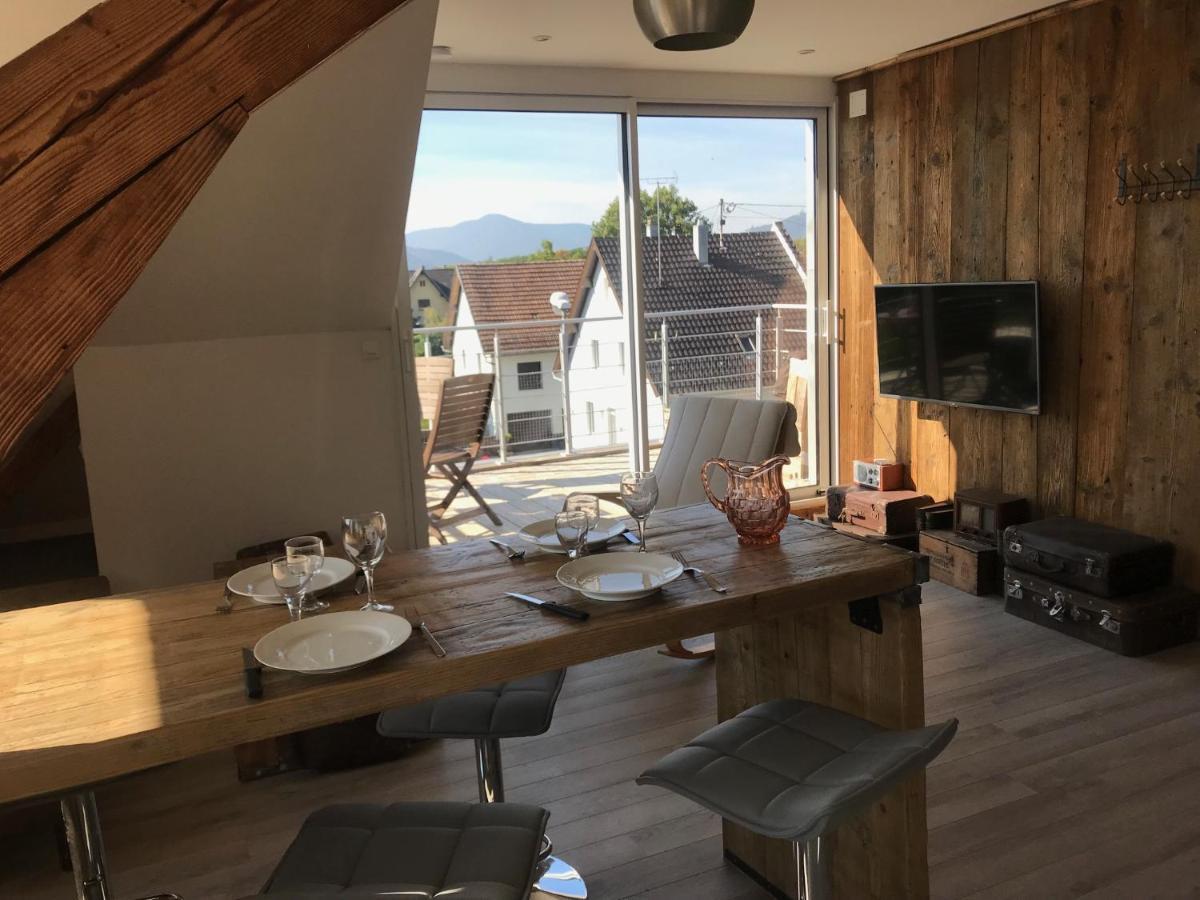 Appartement Chaleureux Et Lumineux Avec Vue ! Au Centre Alsace ซิลิสตาต์ ภายนอก รูปภาพ